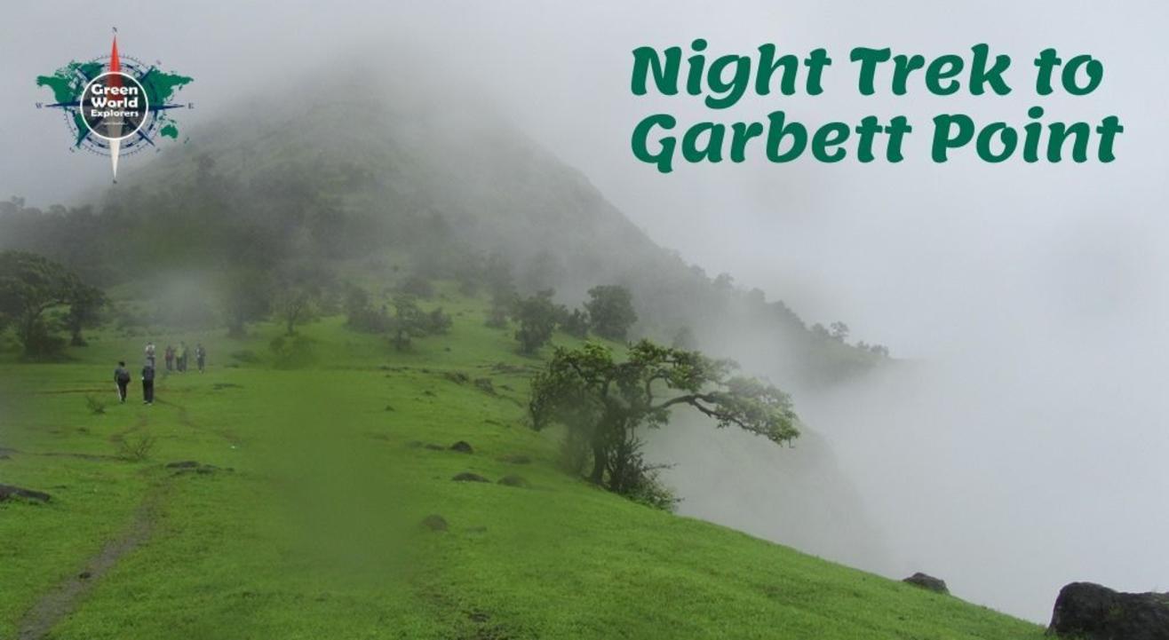 Night Trek to Garbett point