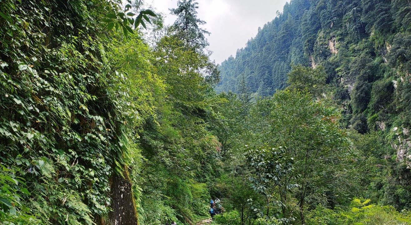 Kasol and Kheerganga Trek