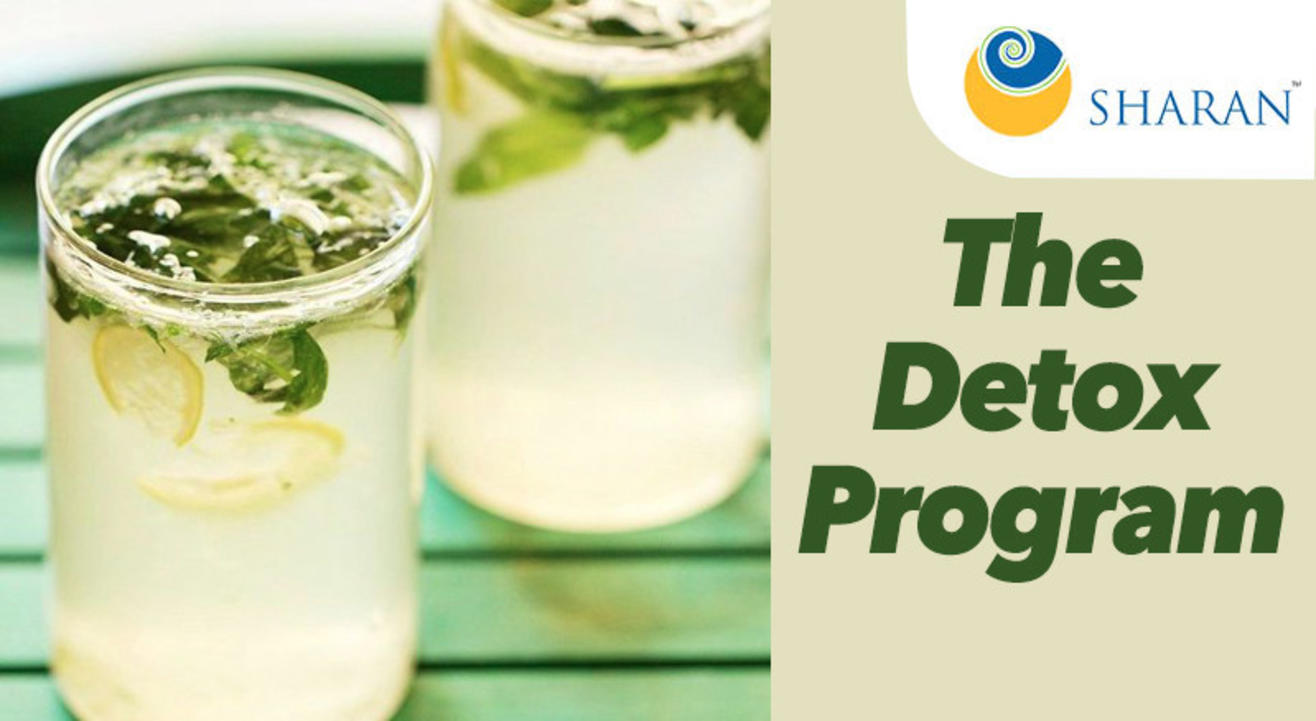 The Detox Program