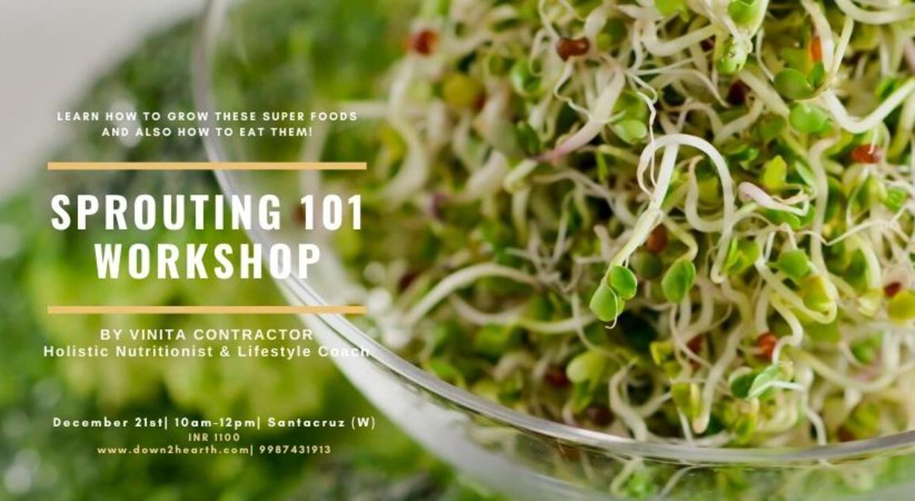 Sprouting 101 Workshop