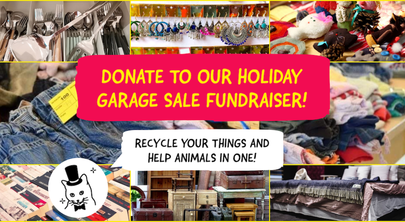 Donate to The Feline Foundation Garage Sale