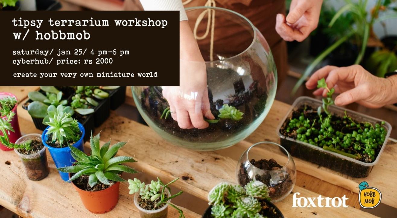 Tipsy Terrarium Workshop