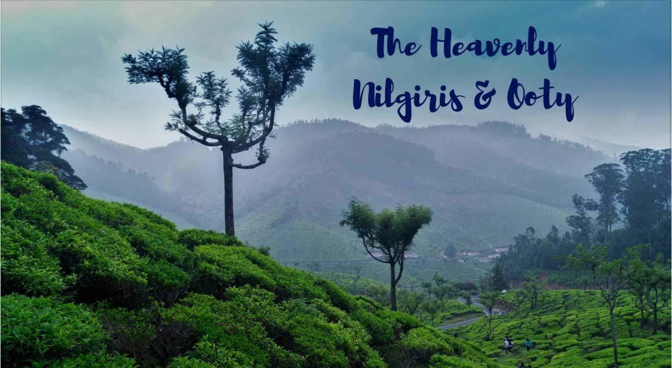 The Nilgiris Road Trip