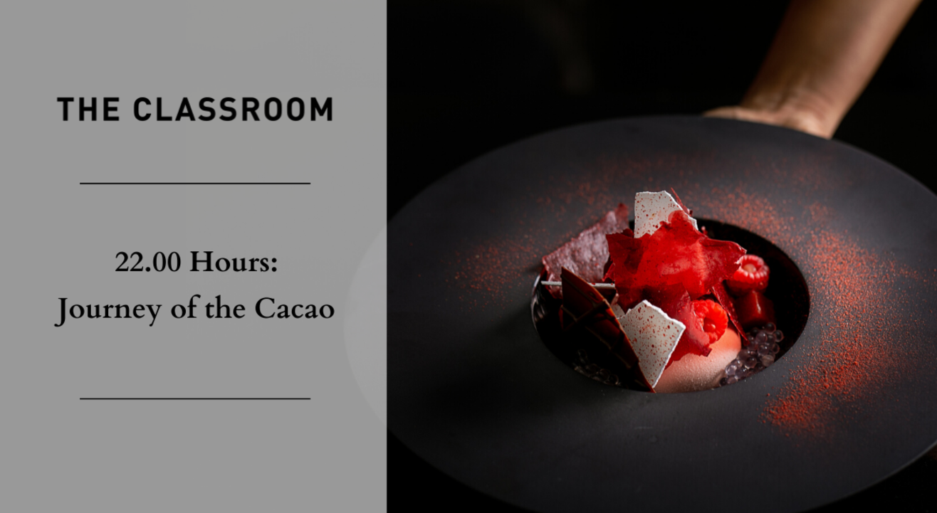 22.00 Hours: Journey of the Cacao