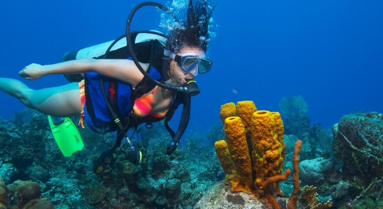 Scuba Diving & Water Sports At Chivla Beach