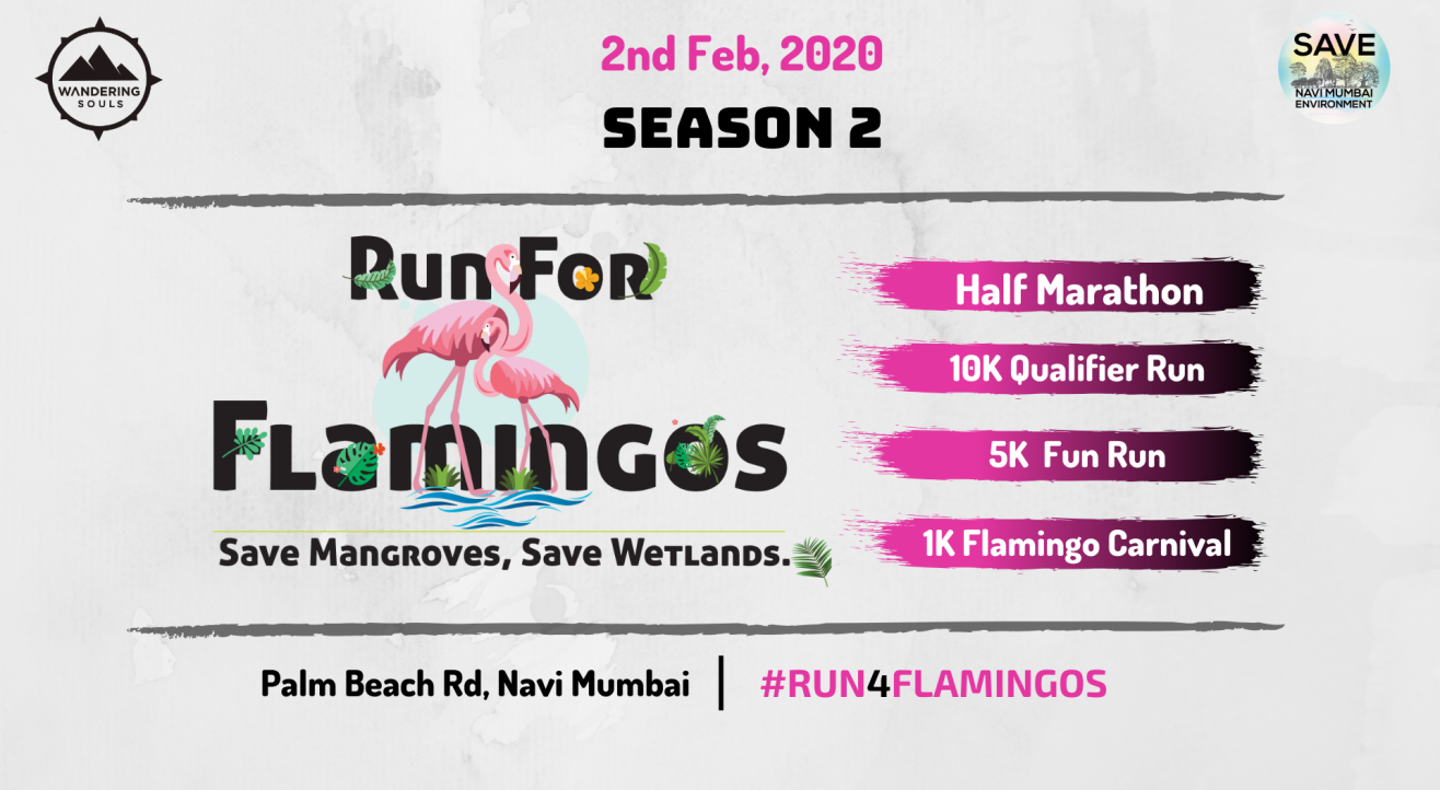 Run for Flamingos - Season 2