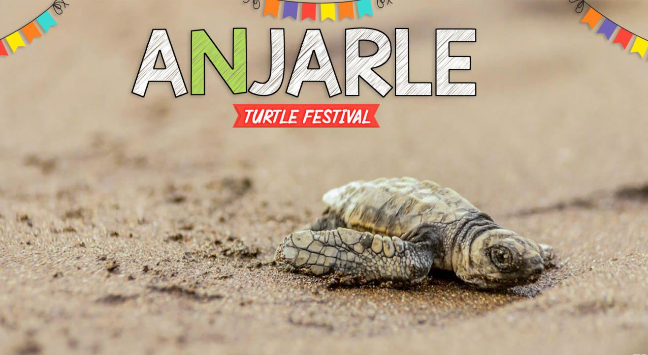 Anjarle Turtle Festival | Trikon