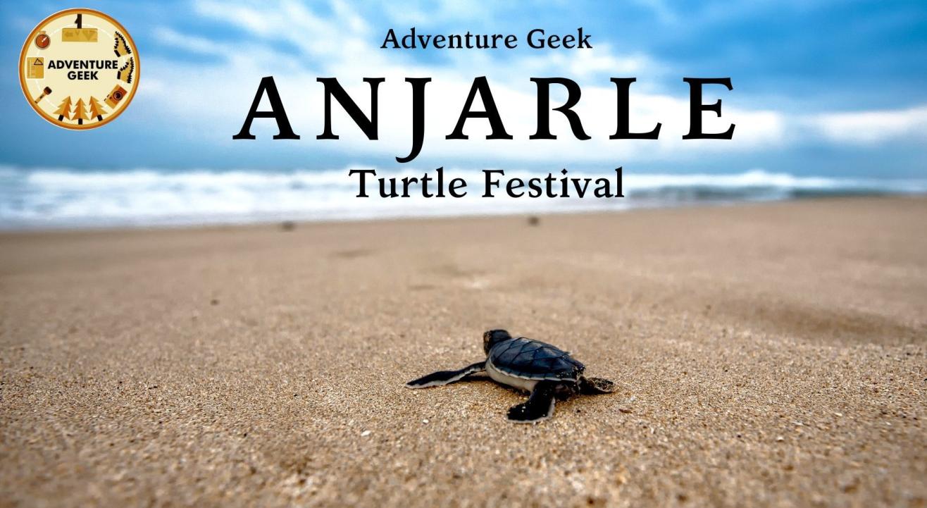 Anjarle Turtle Festival