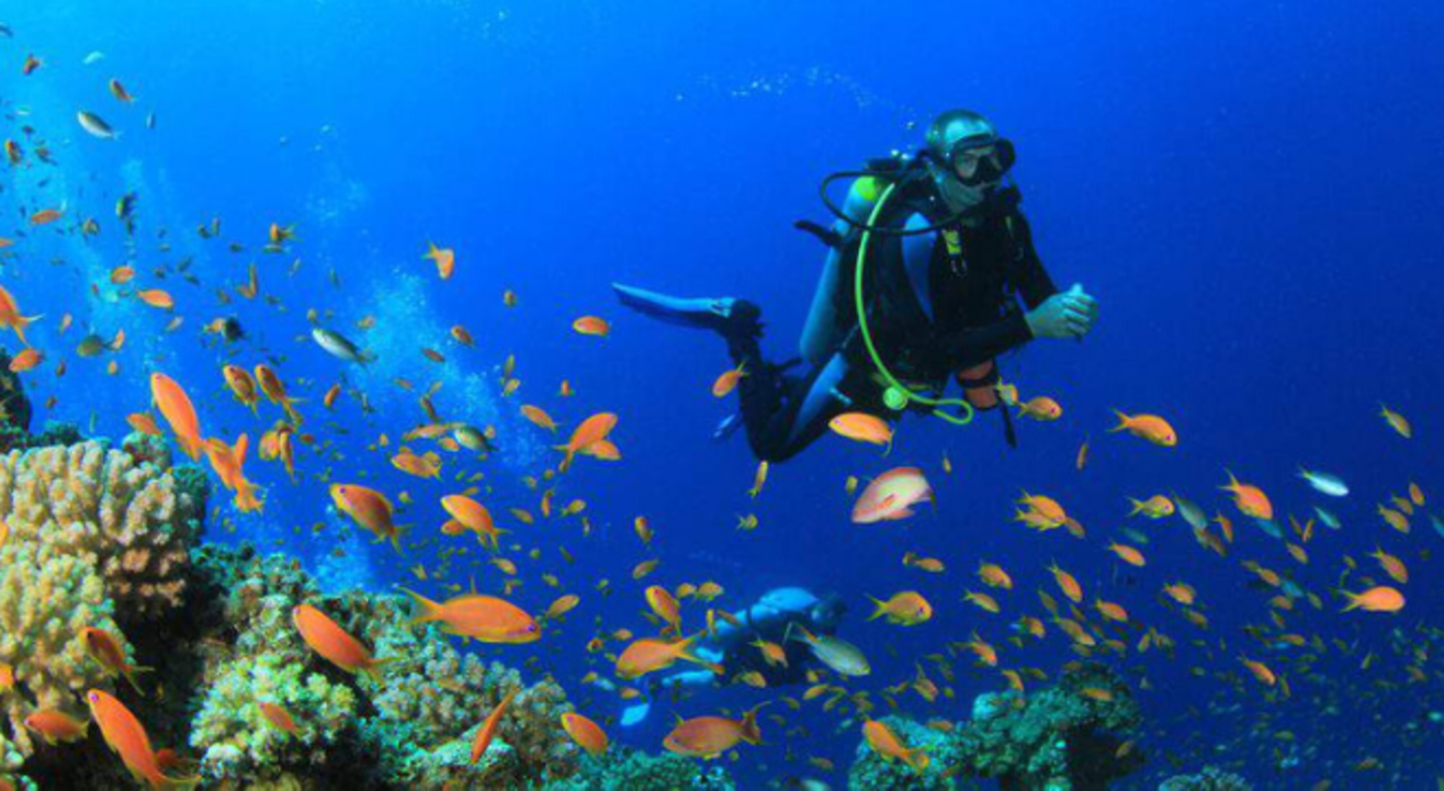 Scuba Diving at Shiroda Paradise Beach by Sea Water Sports.