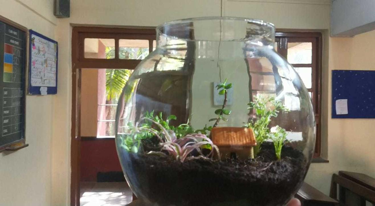 Terrarium and Dish Gardening Workhsop