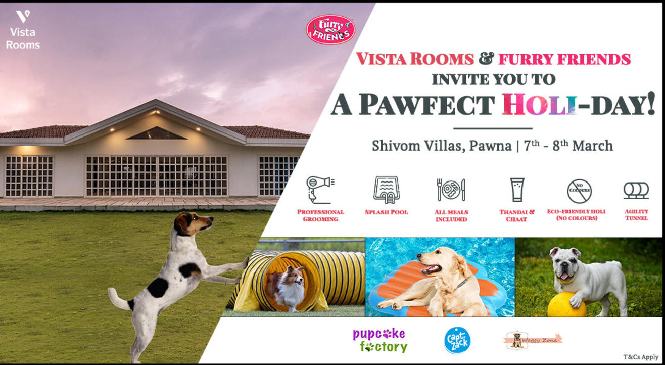 A Pawfect Holi-day by VISTA ROOMS