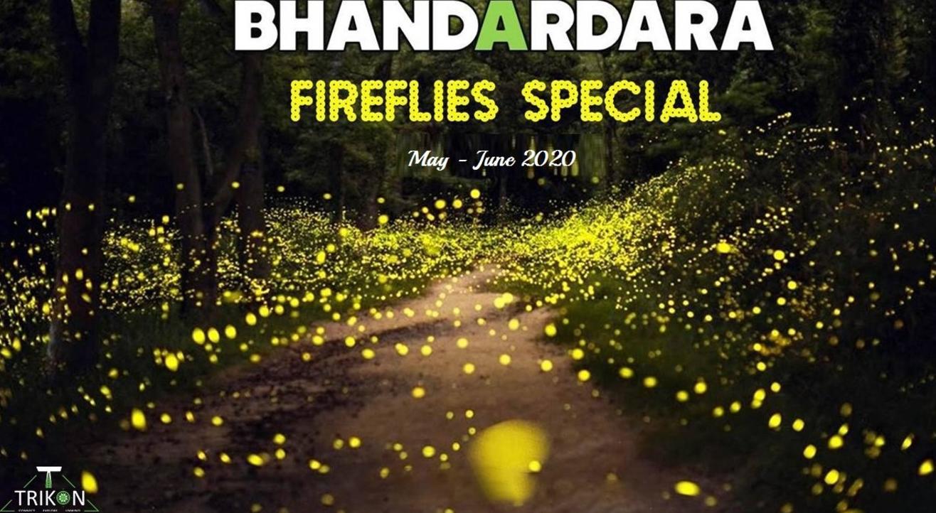 Bhandardara Fireflies Special Camping | Trikon