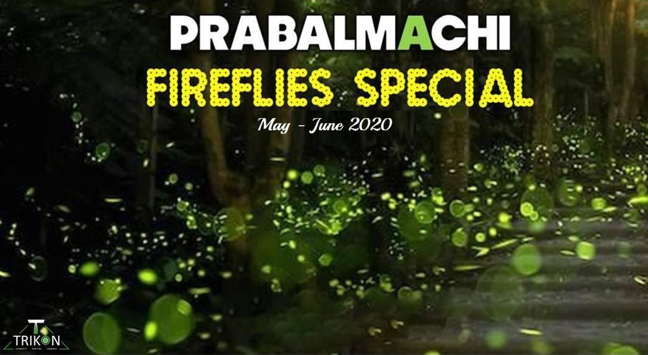 Prabalmachi Fireflies Special Camp | Trikon