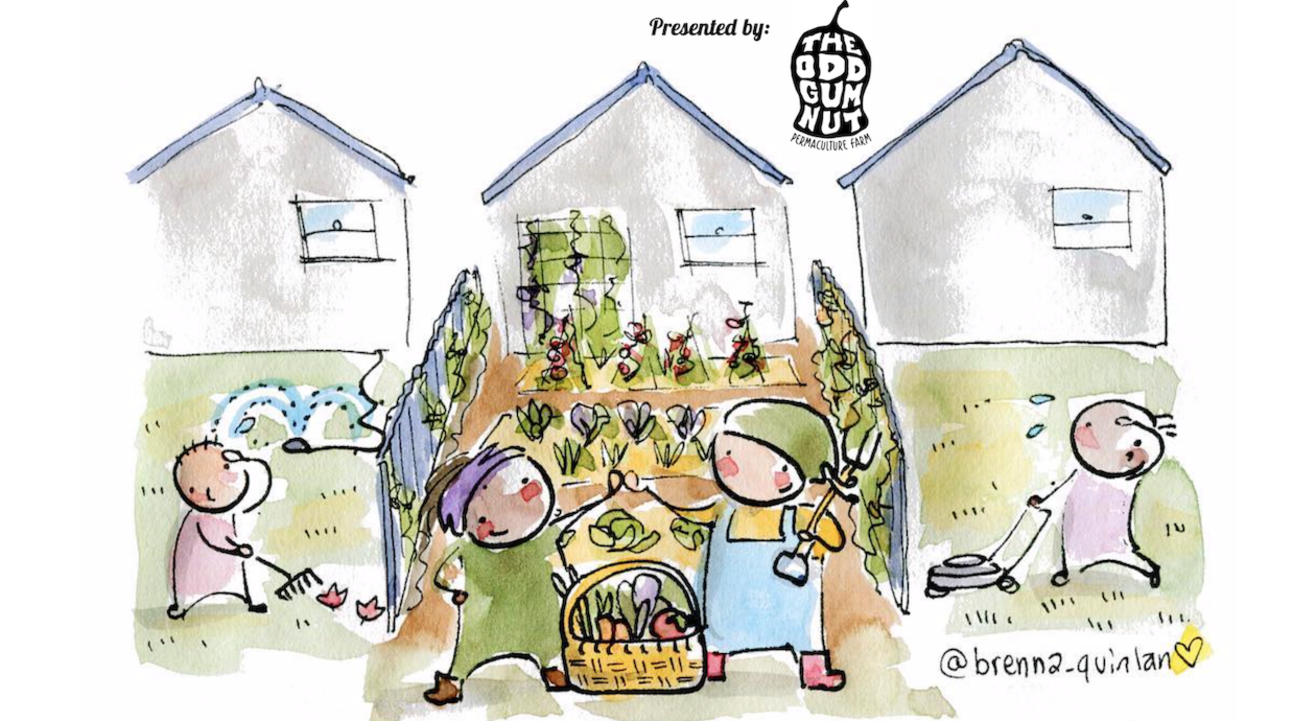 Permaculture Strategies for Cities