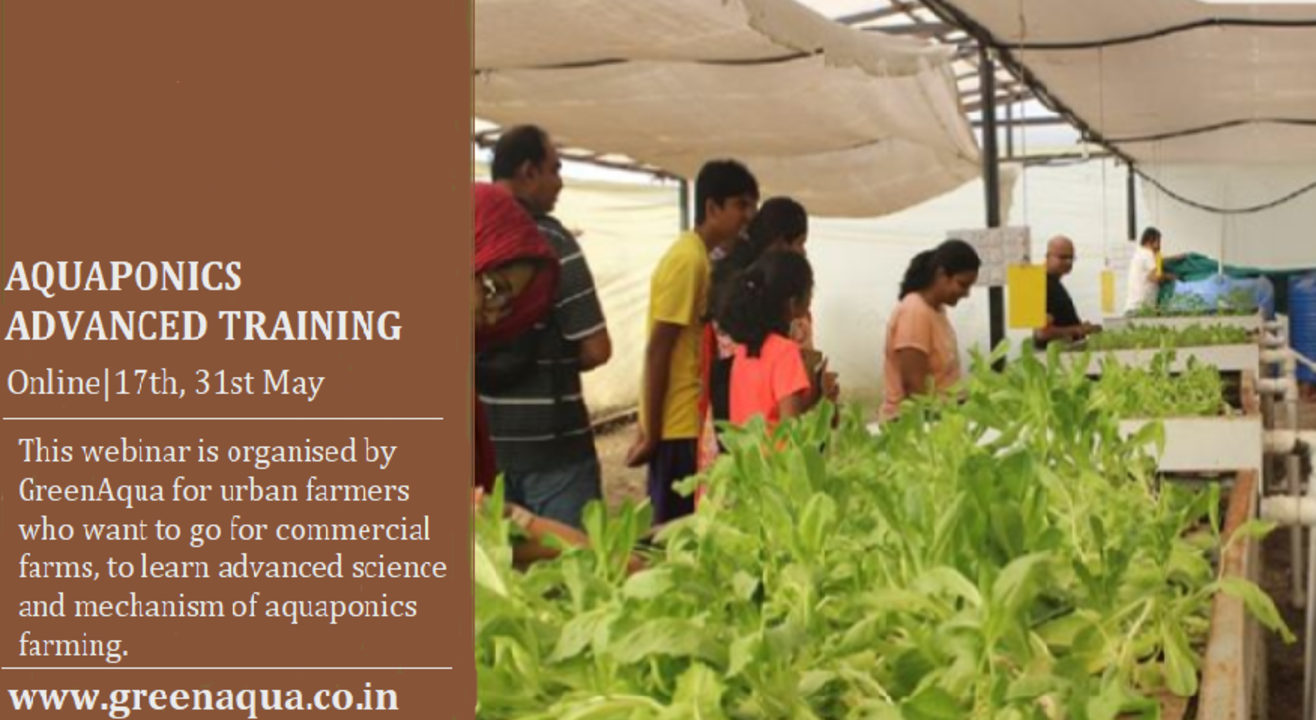 Aquaponics Farming Training -Advanced & Commercial