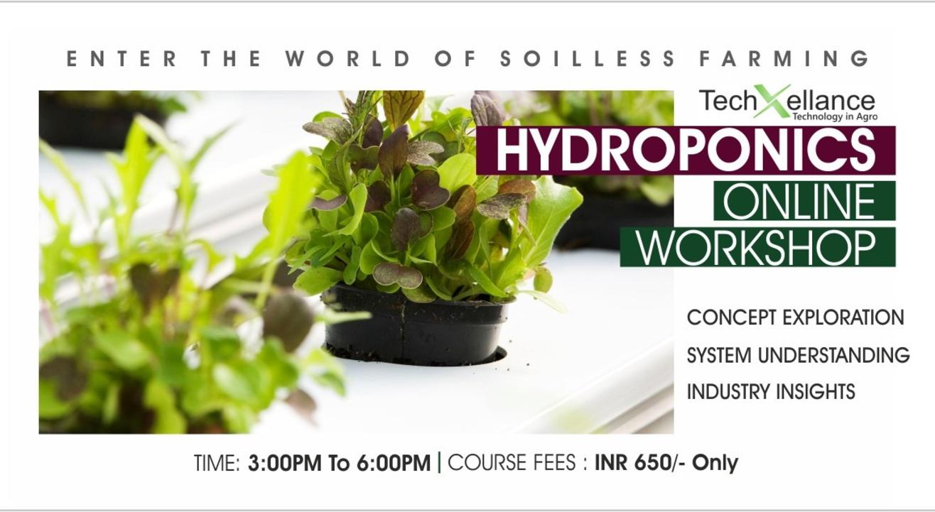 Basic Hydroponics Webinar