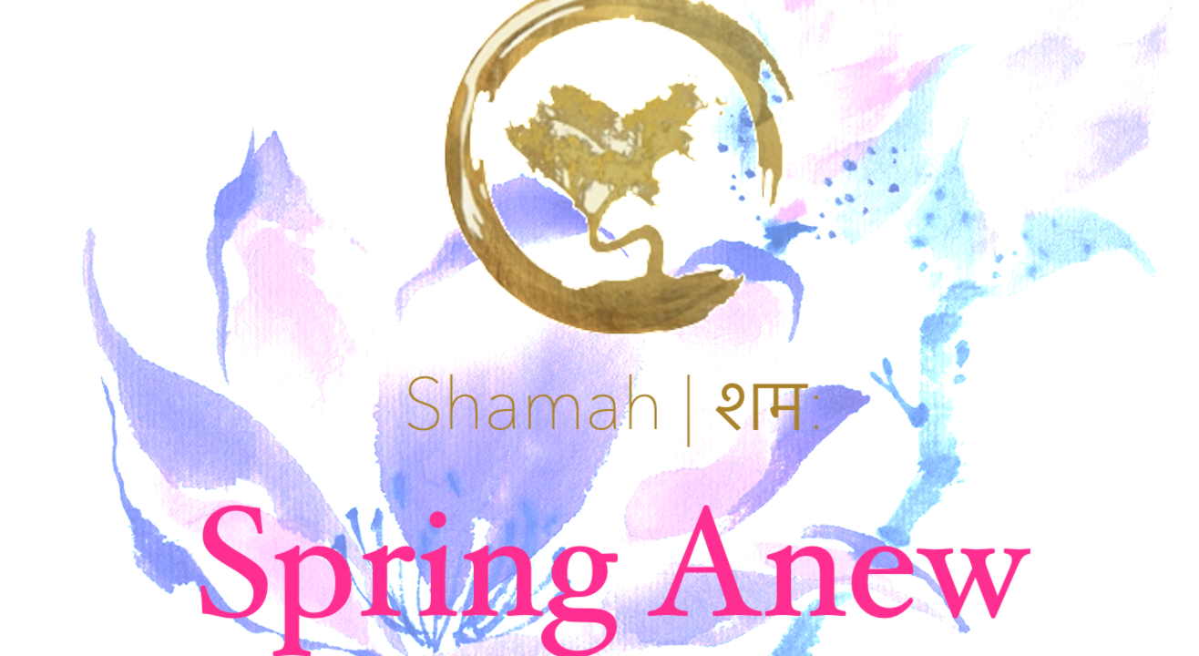 Spring Anew - How to Restart Your Life