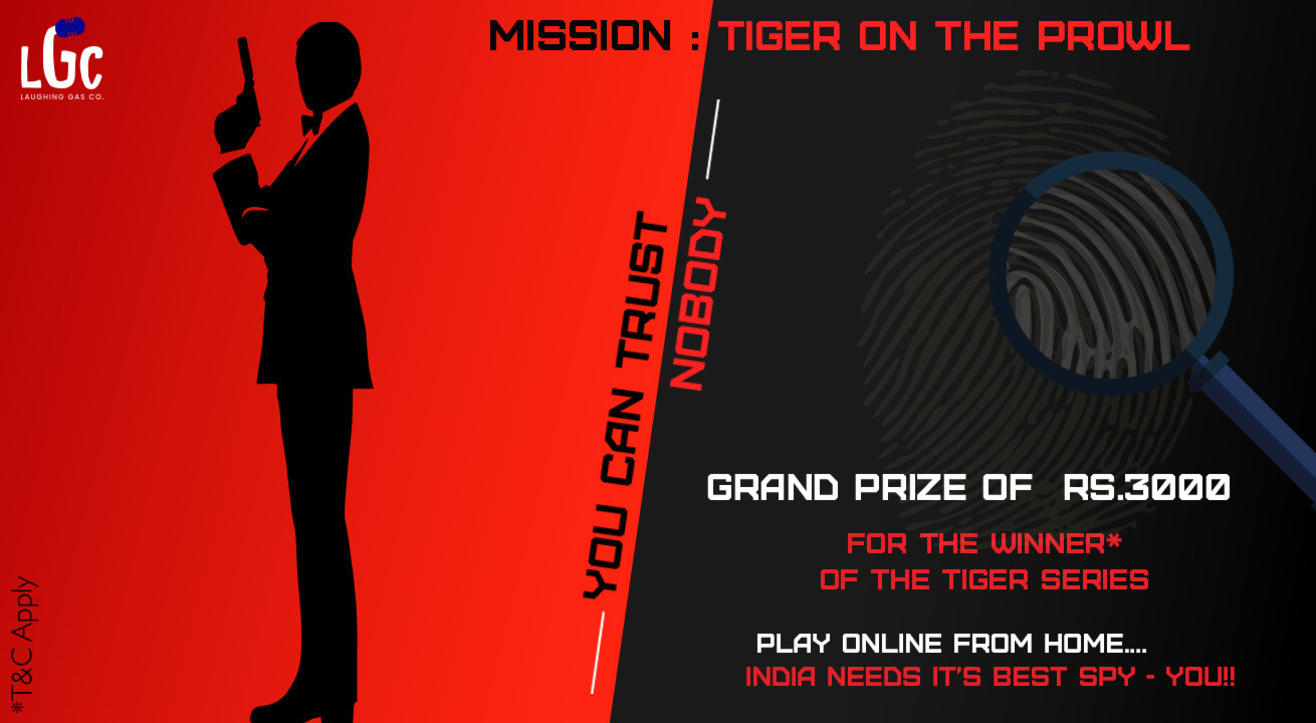 Mission: Tiger on the prowl – a fun online puzzle solving game