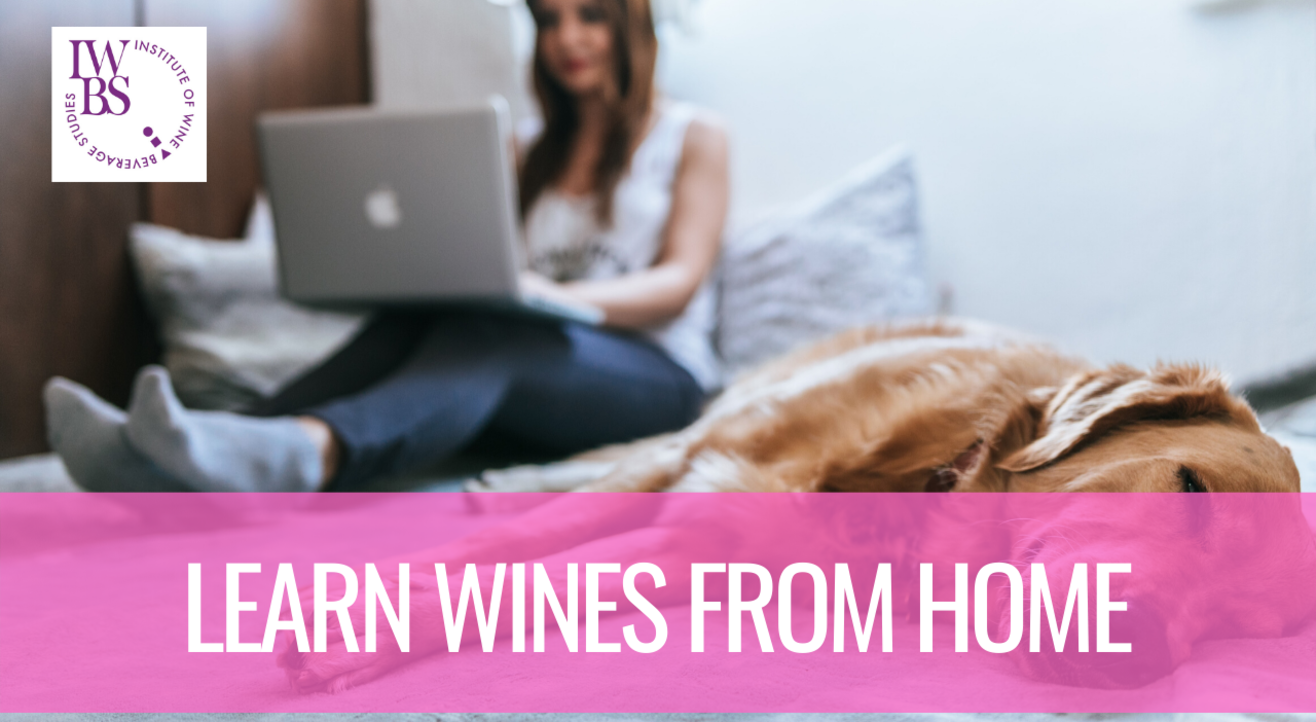 Learn Wines at Home by Institute of Wine and Beverage Studies