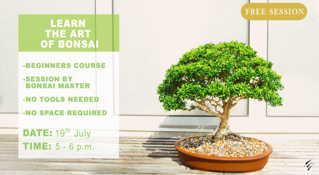 Bonsai for Beginners by Enlightened Sapiens