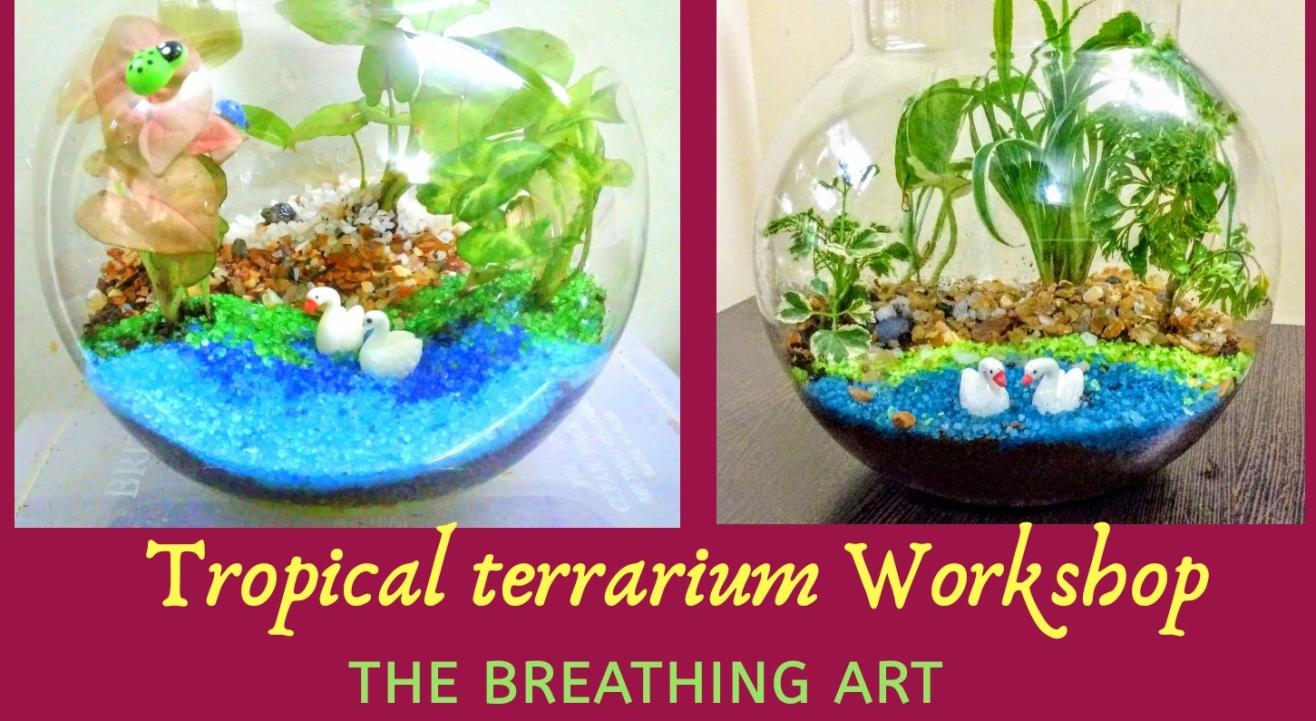 18th July Online Tropical terrarium workshop