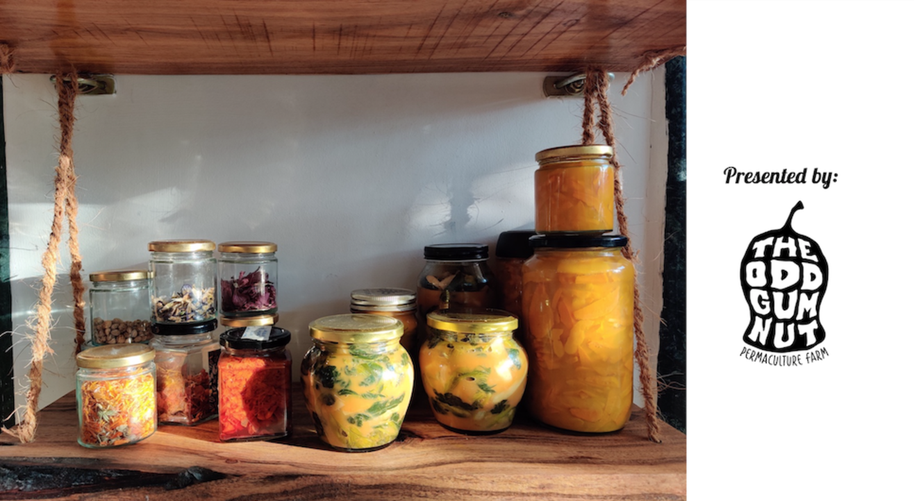 Easy Home Ferments