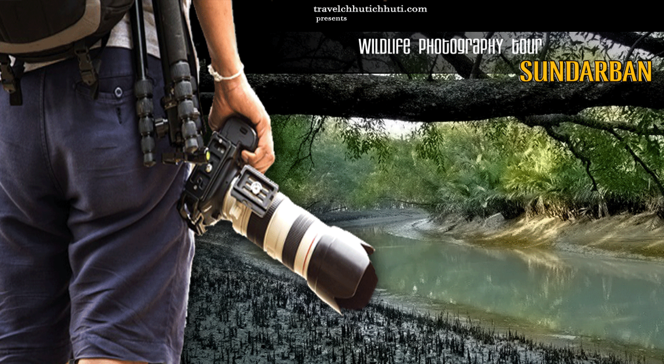 Wild Photography Tour - Sundarban