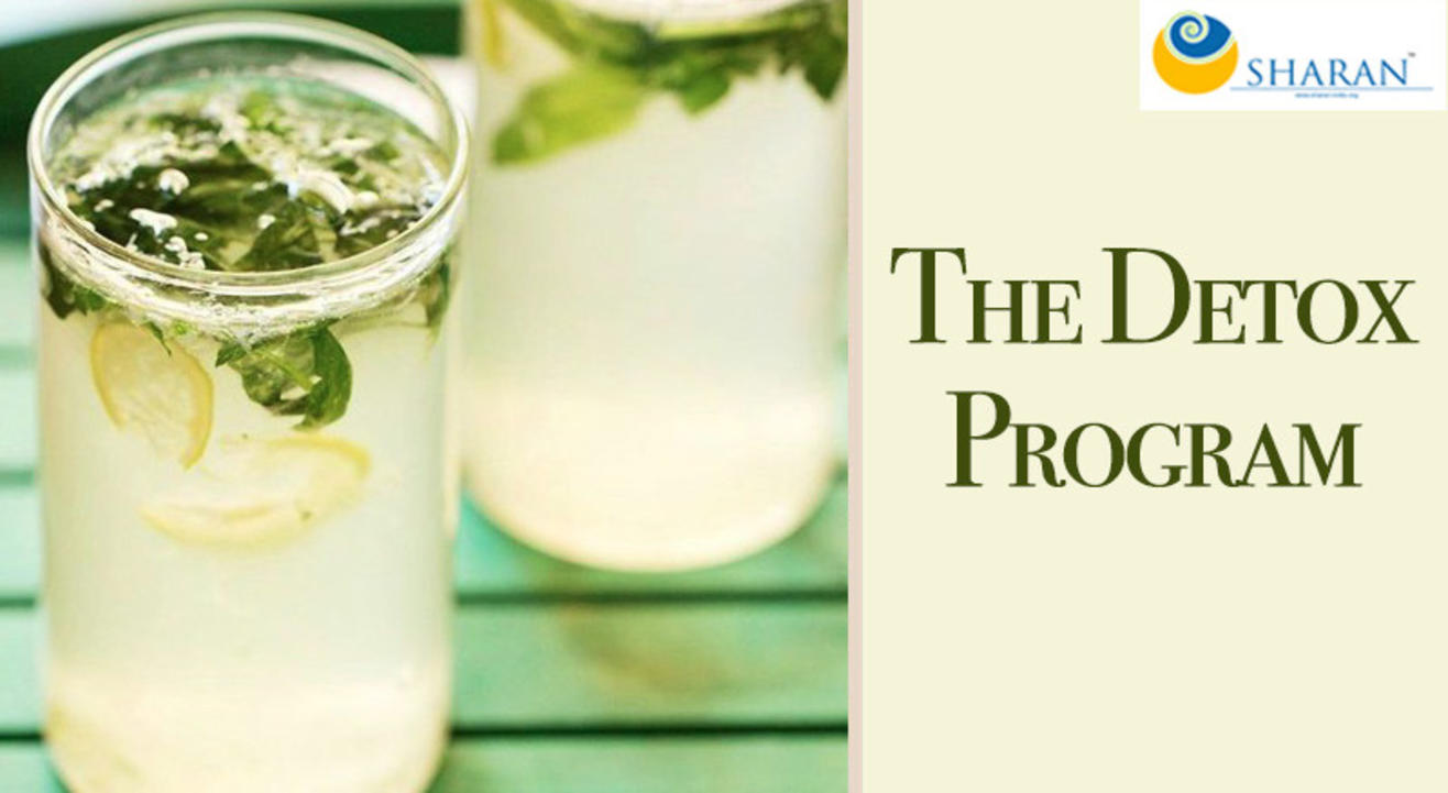 The Detox Program