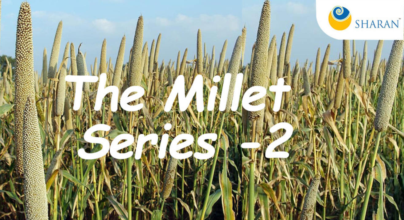 The Millet Series -2