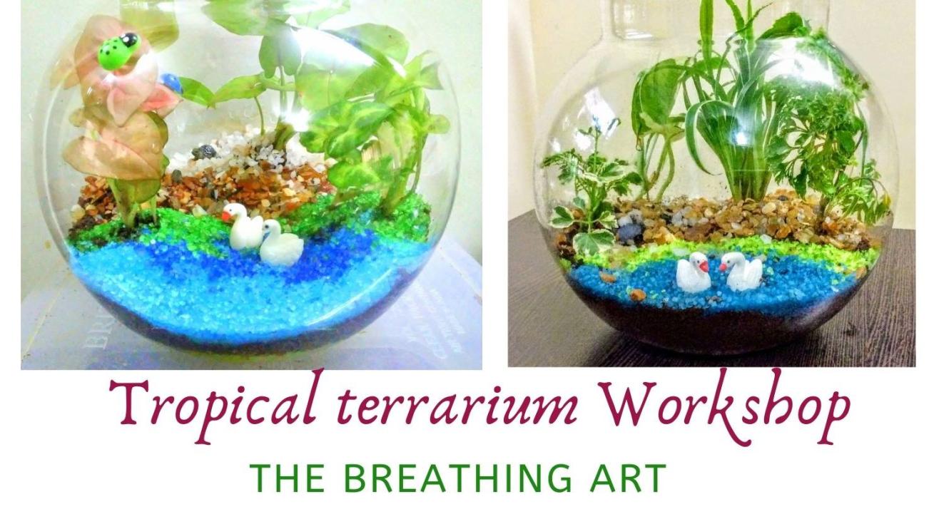 2nd Aug Online Tropical Terrarium Workshop