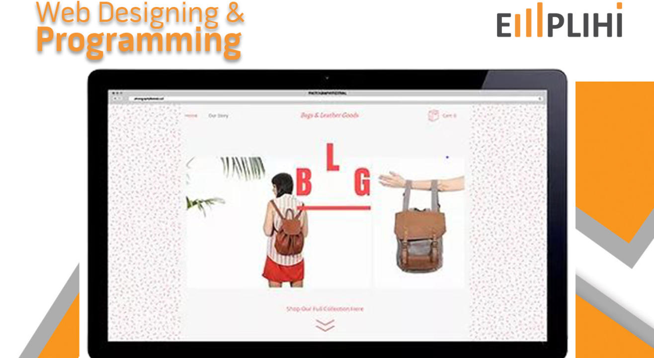 Web Designing & Programming by EMPLIHI