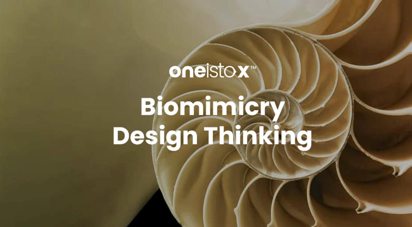 Oneistox - Biomimicry Design Thinking Workshop