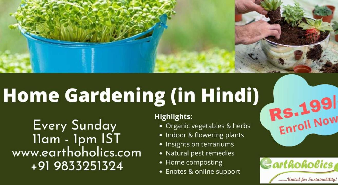 Online:Home Gardening in Hindi