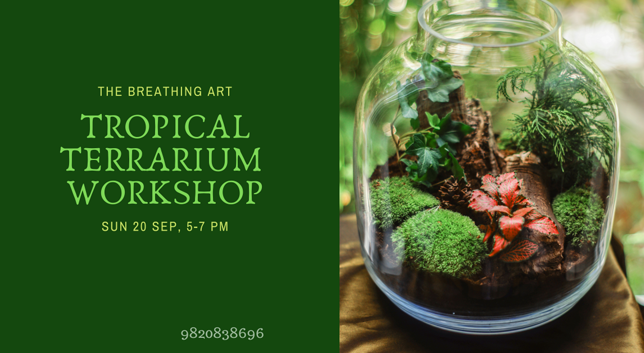 20th Sept Online Tropical Terrarium Workshop