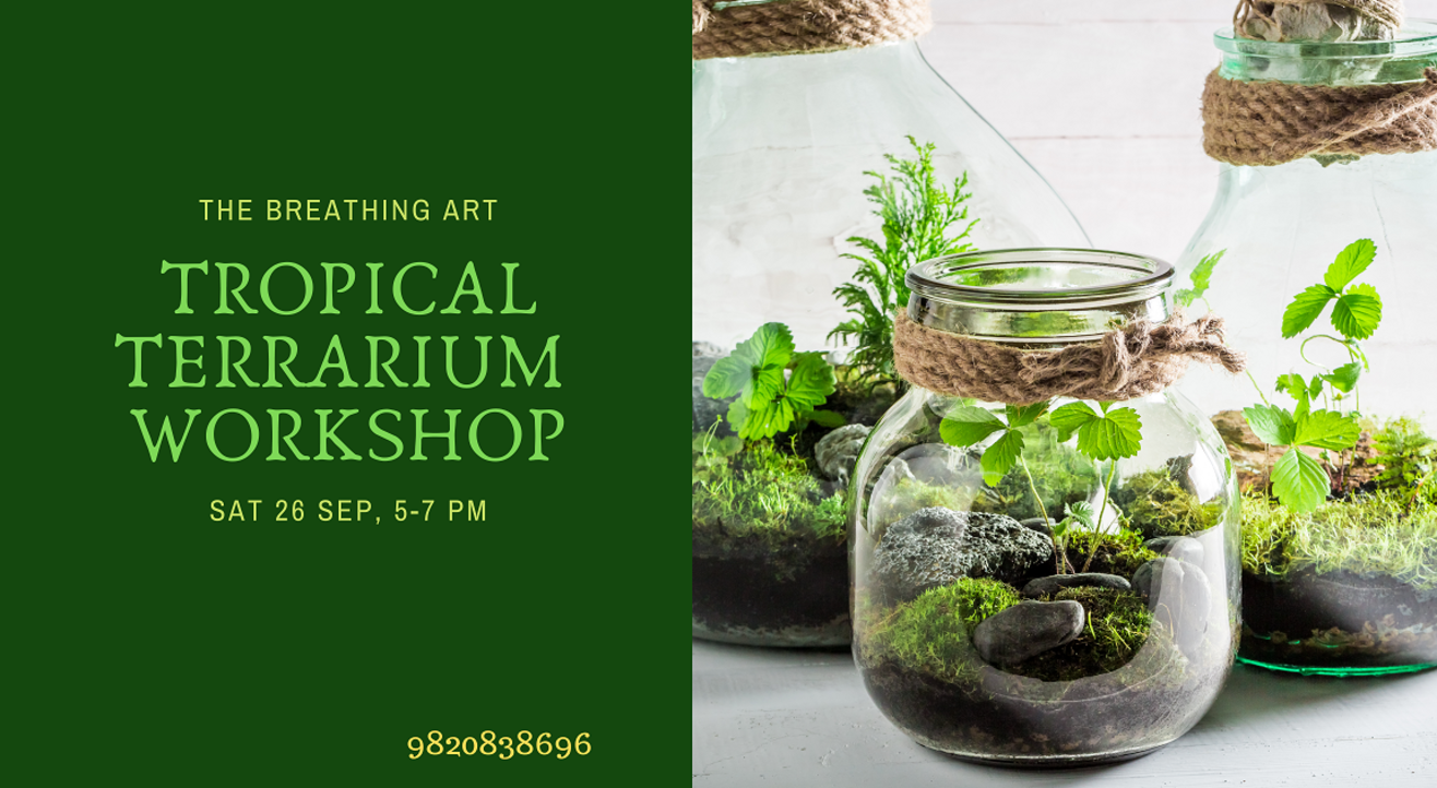 26th Sept Online Tropical Terrarium Workshop