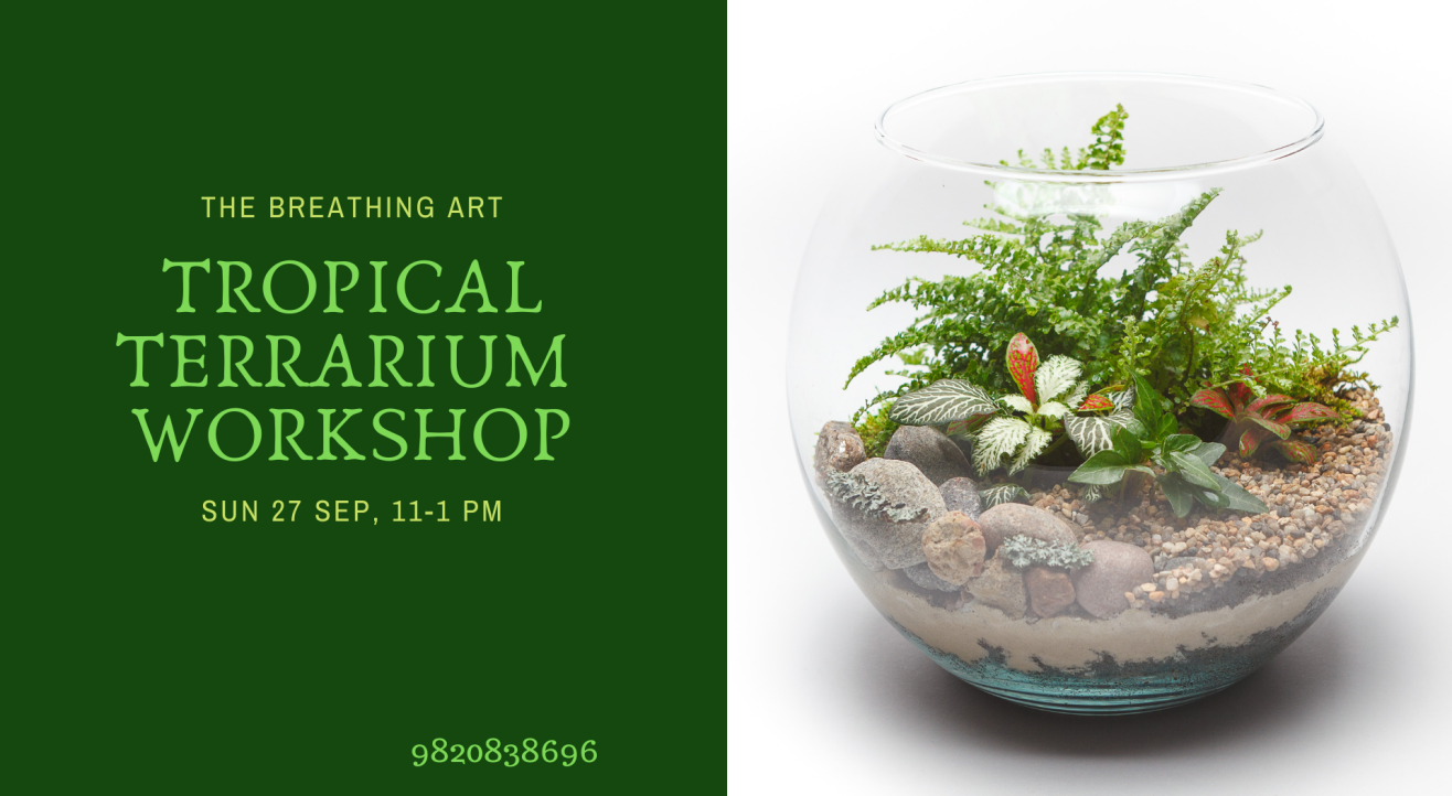 27th Sept Online Tropical Terrarium Workshop