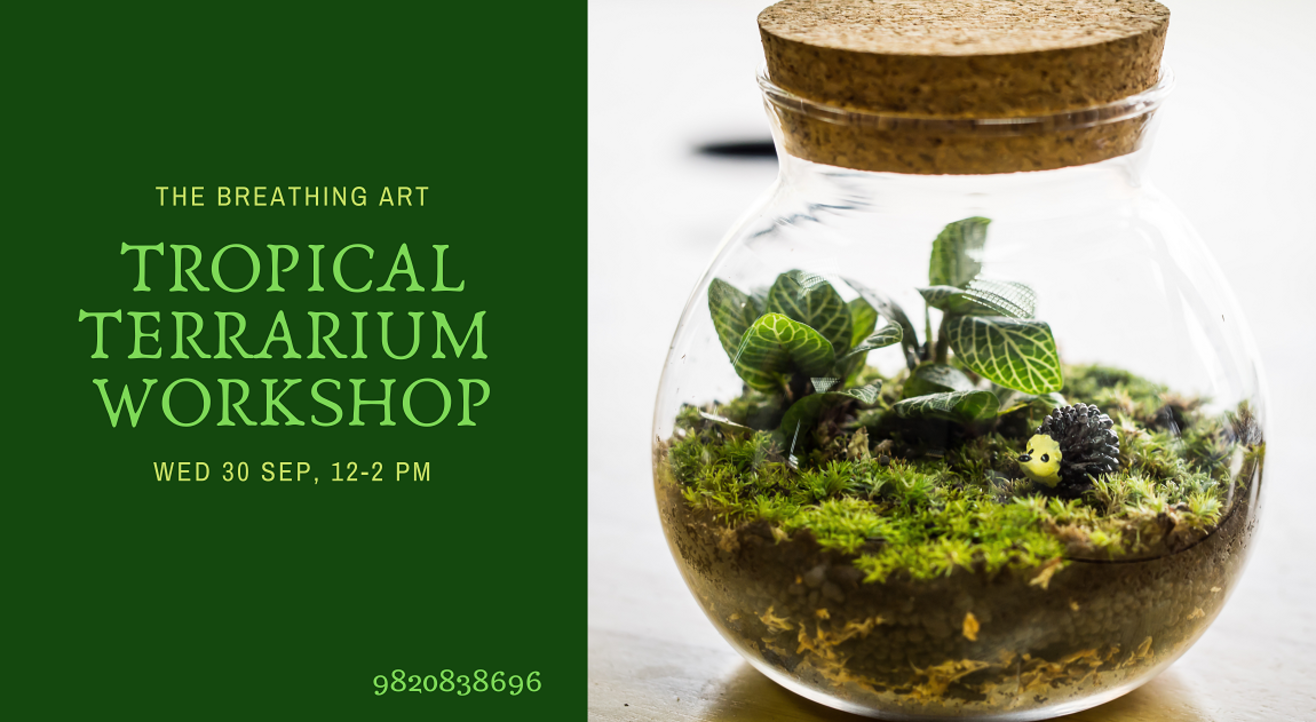 30th Sept Online Tropical Terrarium Workshop