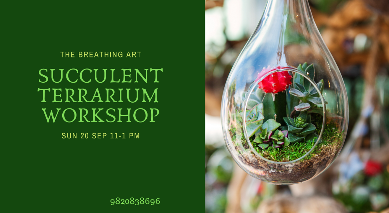 20th Sept Online Succulent Terrarium Workshop