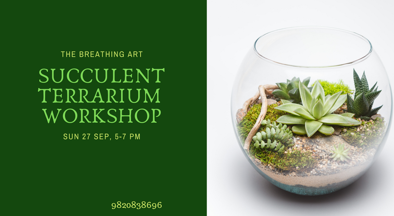 27th Sept Online Succulent Terrarium Workshop