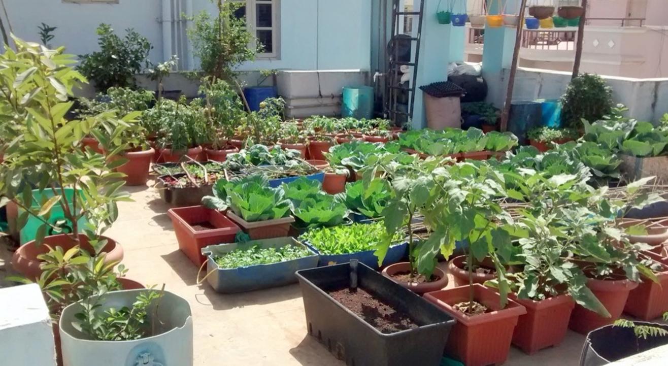 The Urban Foodscapes Workshop