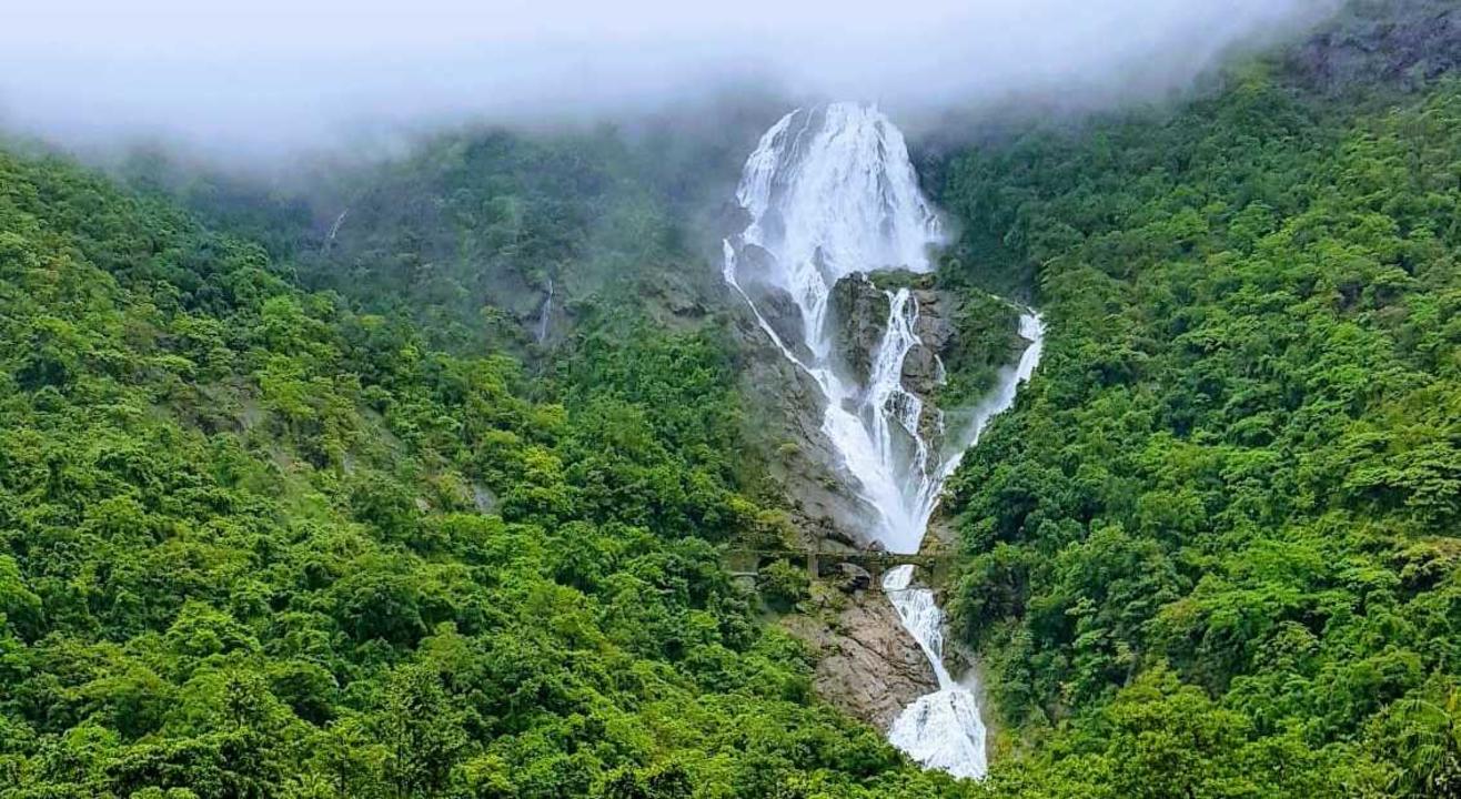 Dudhsagar Waterfalls Trek & Camping | NammaTrip