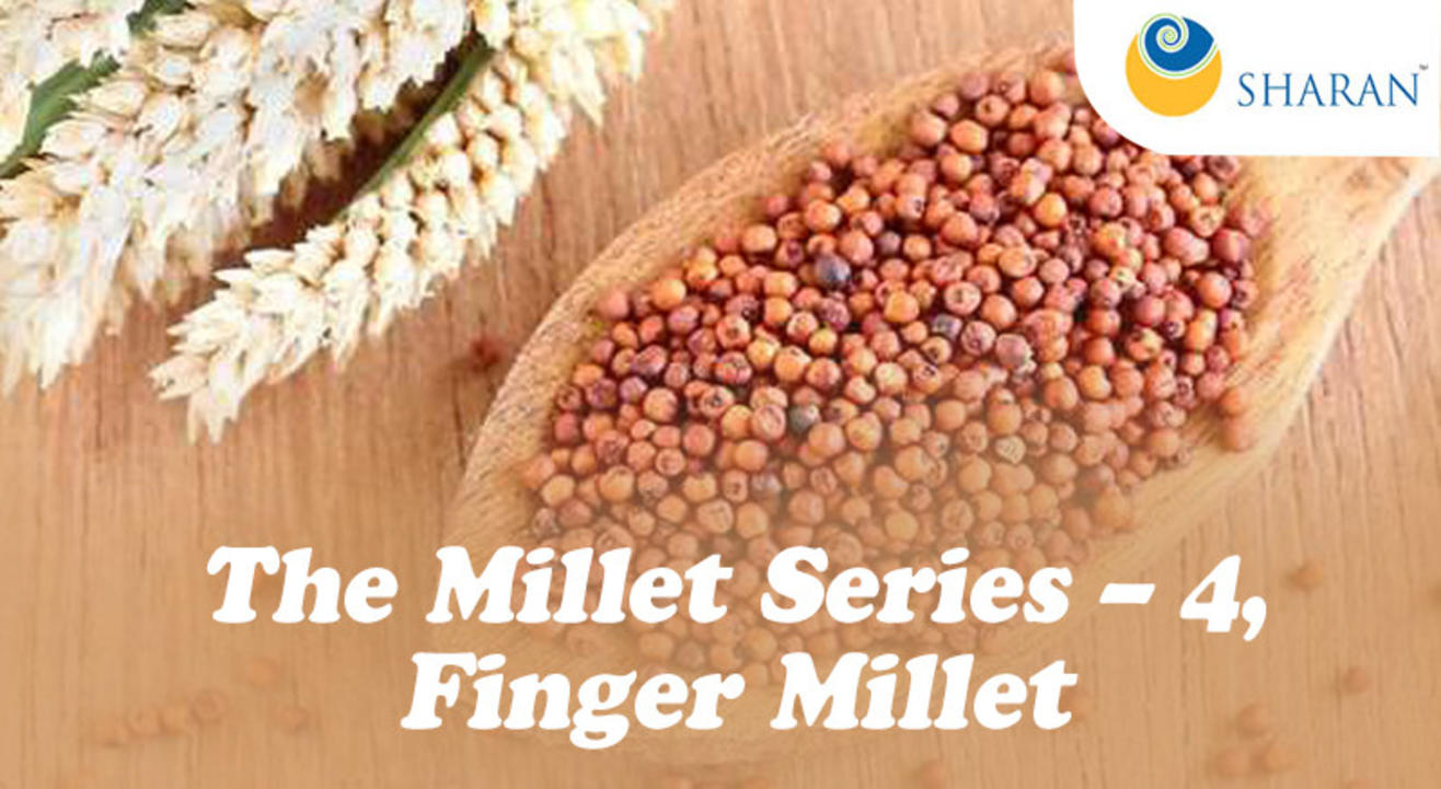 The Millet Series – 4, Finger Millet