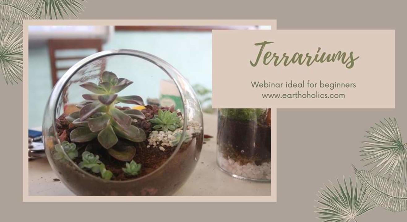 Online: Terrarium making workshop