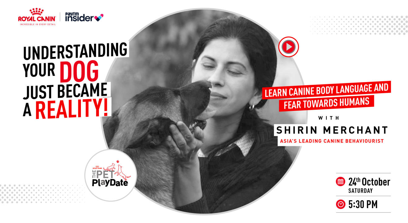 The Pet Playdate with Royal Canin Feat. Shirin Merchant