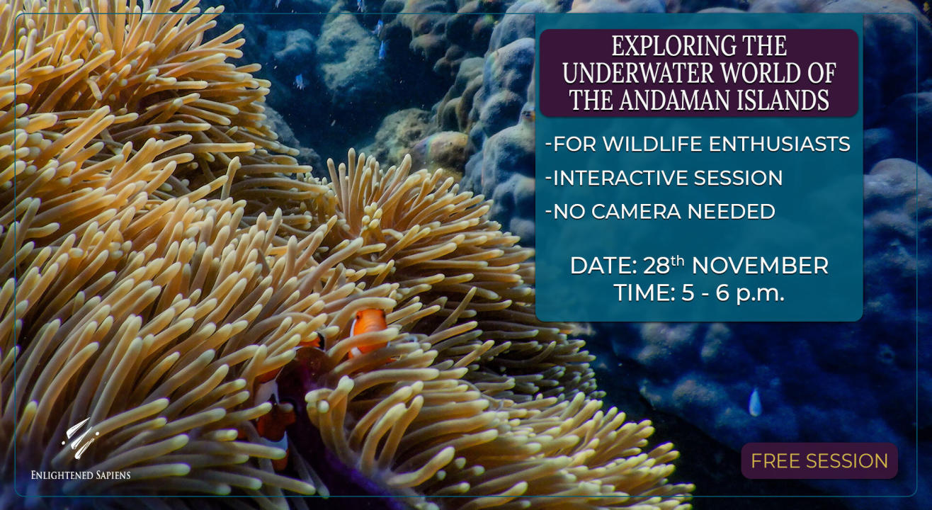 Exploring the Underwater world of the Andaman Islands