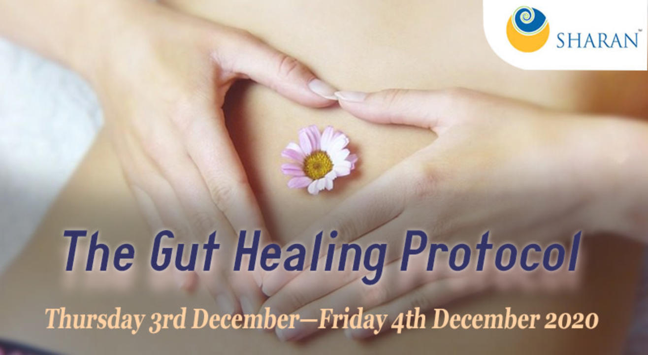 The Gut Healing Protocol