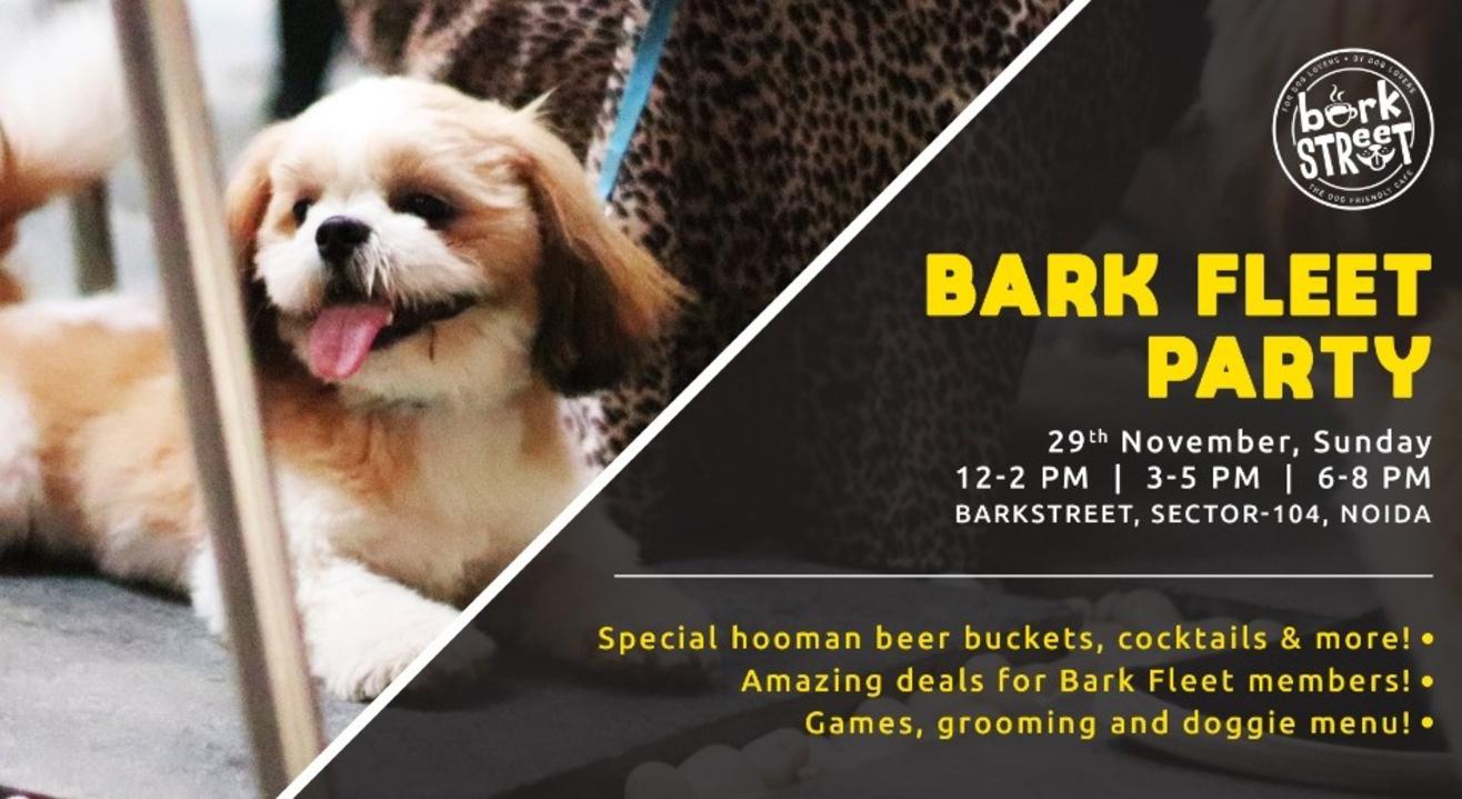 Bark Fleet Party