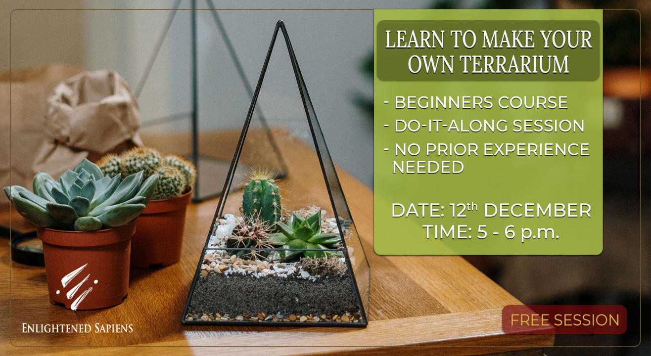 Learn to Make your own Terrarium