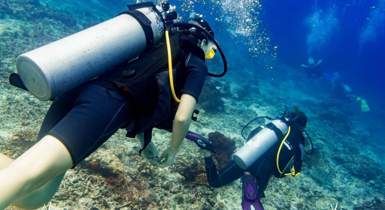 Scuba Diving + 5 Water Sports in Goa at Paradise Island