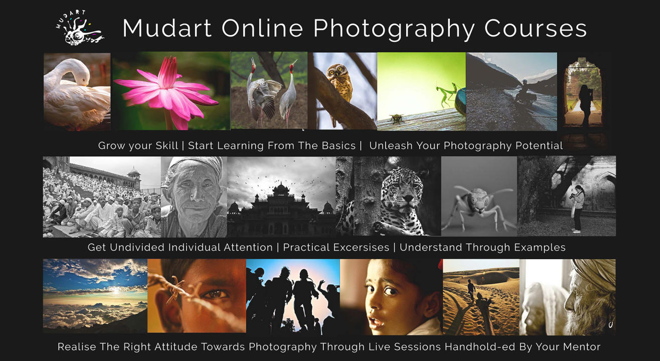 Extensive Photography Course